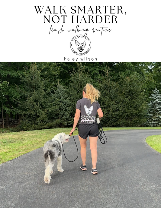 FREEBIE: Leash-Walking Routine