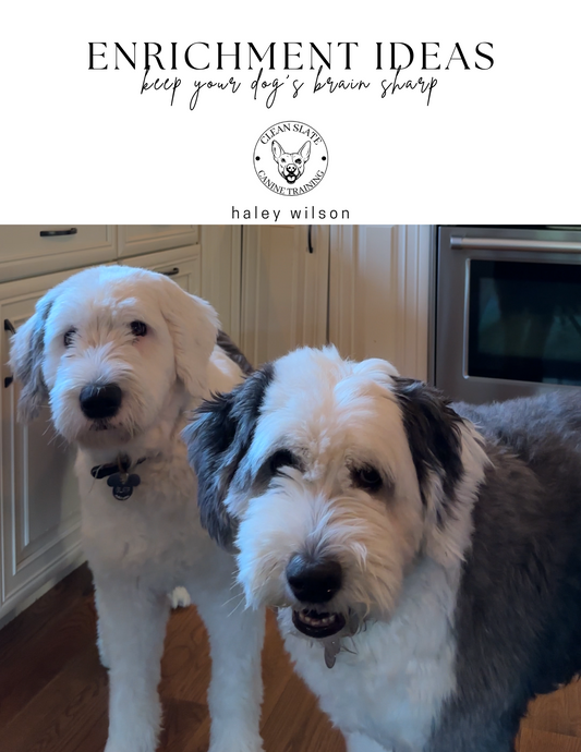 FREEBIE: Enrichment Ideas